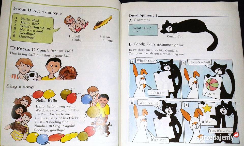 Pathway 1 Pupils Book Neil Hawkes Donald Dallas miękka Chełm sprzedam