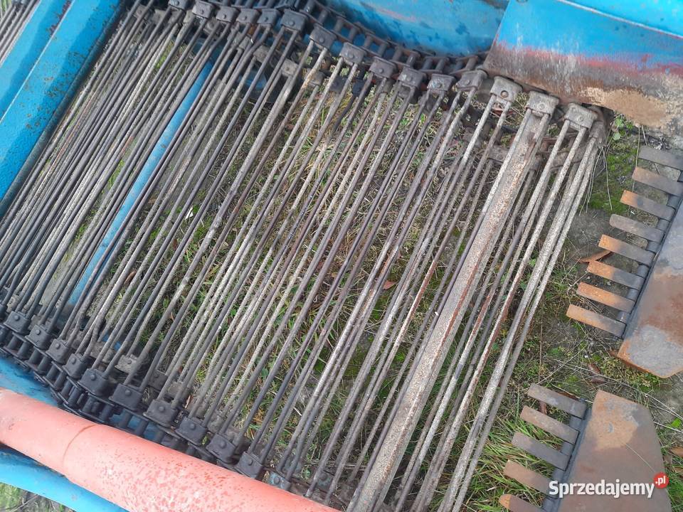 Kopaczka do ziemniakow kujawsko-pomorskie