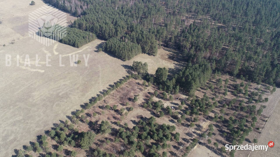 Działka Świętajno 2133m2 kanalizacja