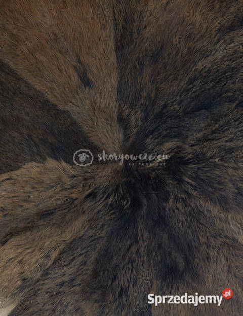 Dywanik koło dekoracyjne z dzika Szaflary sprzedam
