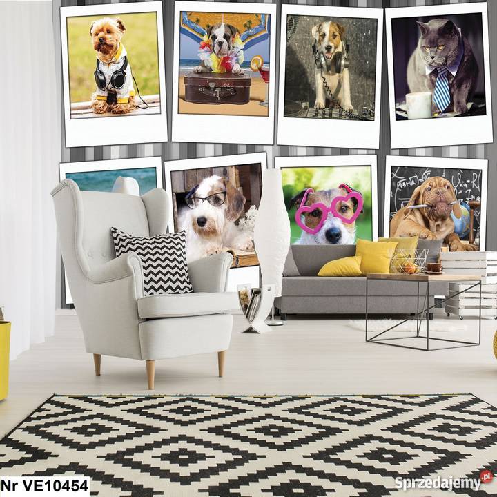 Tapeta fototapeta Pieski i kotki psy i koty Leszno