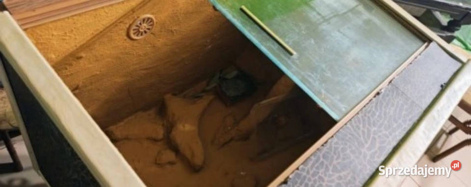 Terrarium na węża chomika żółwia wentylacja Rybnik