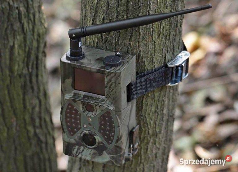 Fotopułapka Wideopułapka GSM HC 550 M Kamera Włoszczowa