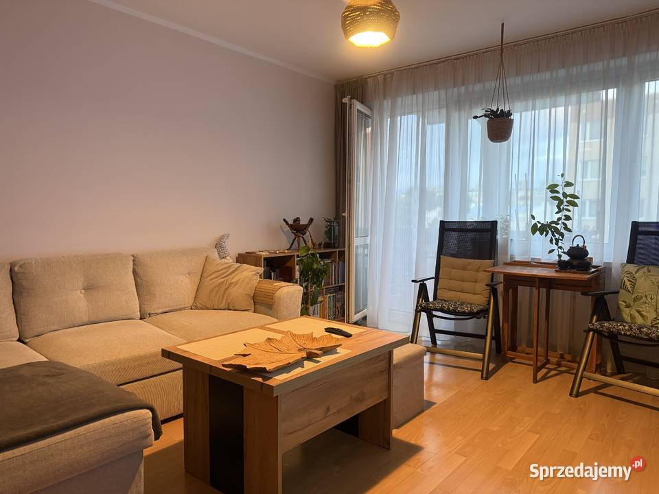Mieszkanie 2 pokojowe garderoba 49 m 2 Piętro Łuków