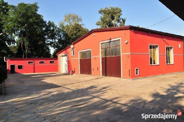lokal Środa Śląska biurowy Środa Śląska