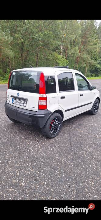 Fiat panda VAN 13 Multijet Van / Minibus Koronowo