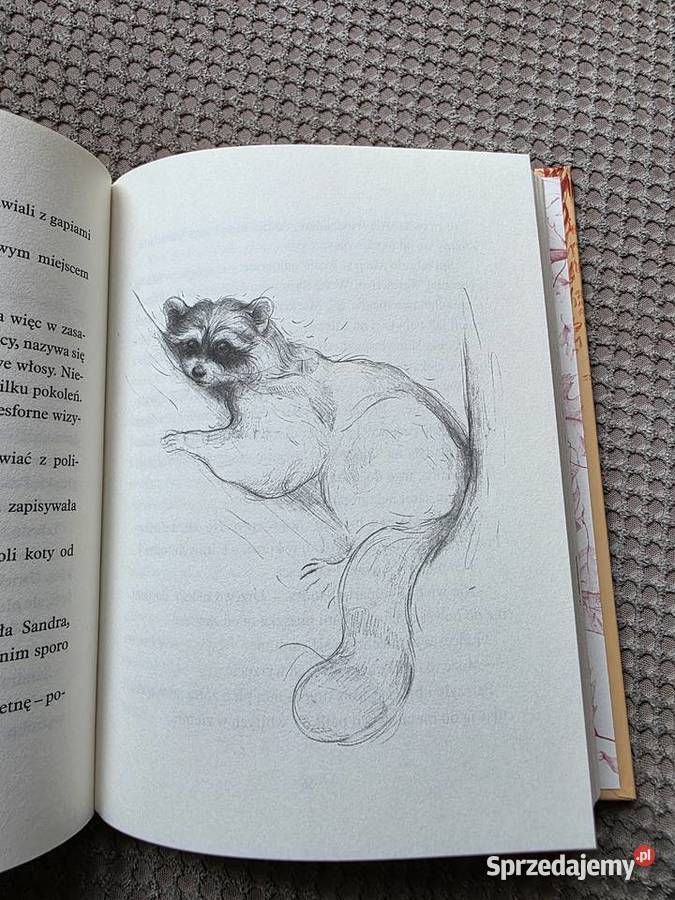 nowa Drzewo życzeń Katherine Applegate Kraków