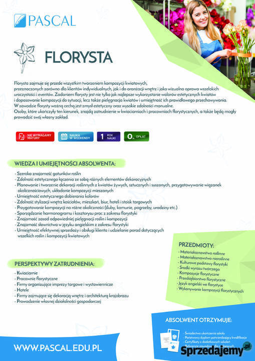 Darmowa szkoła dorosłych Liceum i kierunki Płock