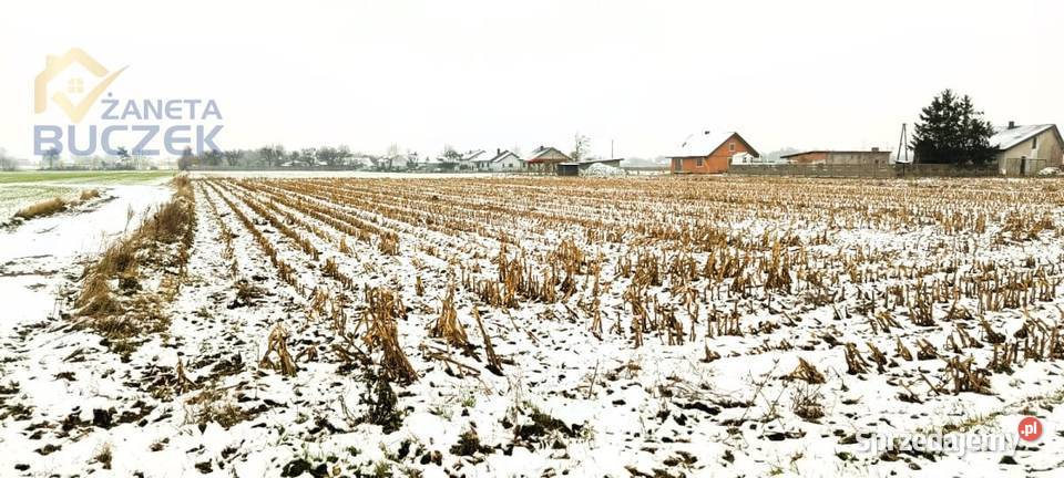 Sprzedam działkę o pow 4606 m2 w Leonowie w woda Leonów