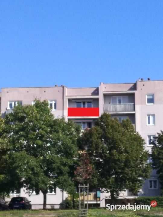 Wynajmę powierzchnię reklamową Świetna obok Cas lubuskie Gorzów Wielkopolski