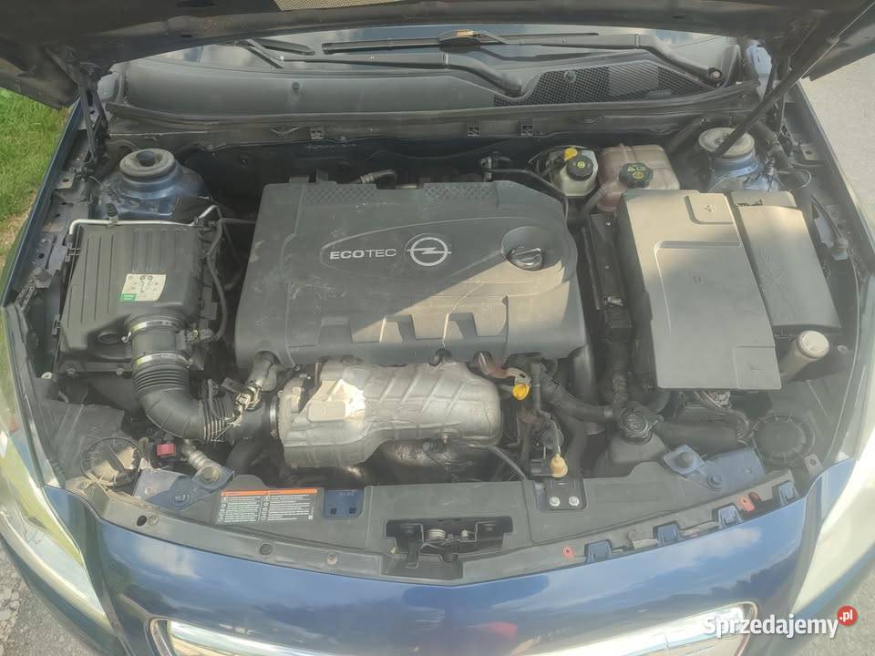 opel insignia 20 cdti 160 2009 Wiślica