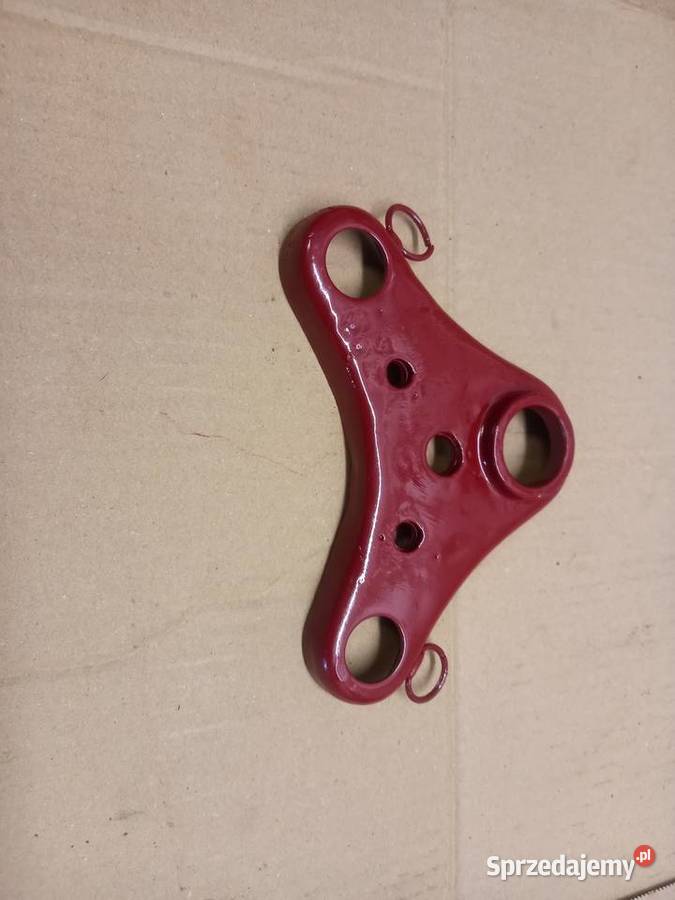 Polka zak rys Sokołów Podlaski