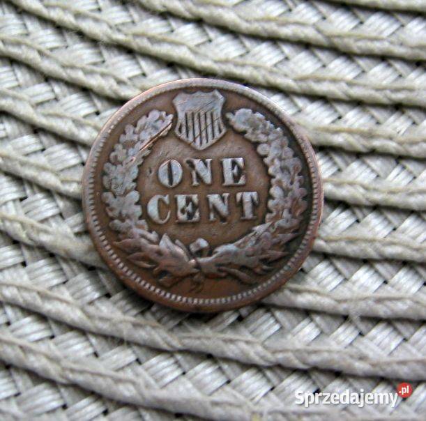 USA 1 Cent 1901 r Głowa Indianina