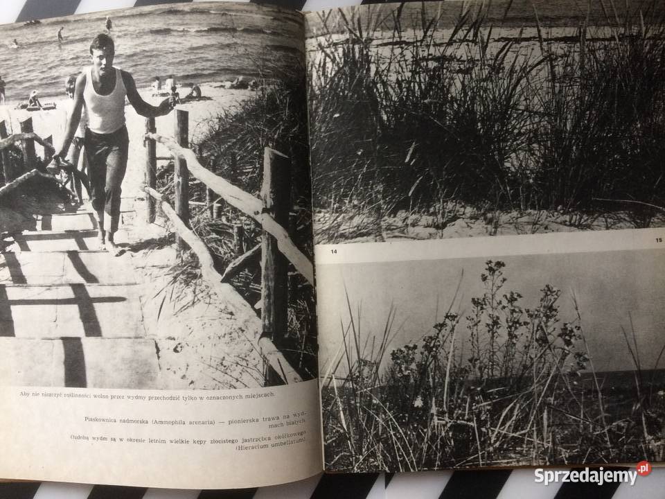 3581 Woliński Park Narodowy Szczecin sprzedam