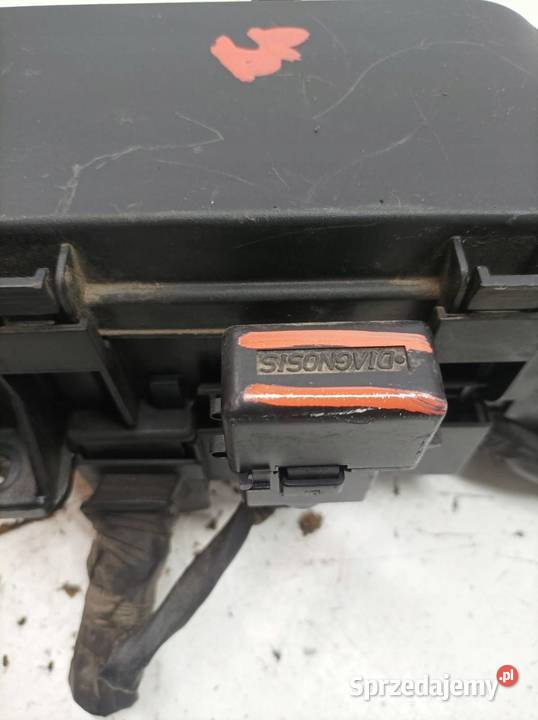 SKRZYNKA BEZPIECZNIKÓW 919503J021 30 D 239 osobowe świętokrzyskie