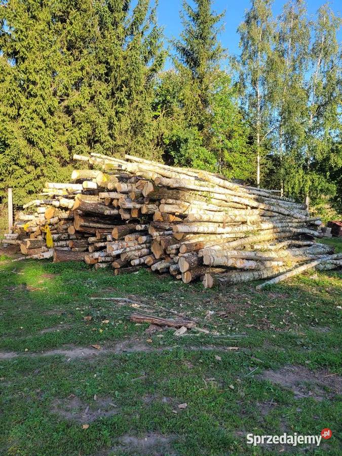 Drewno opałowe Kamieniec Ząbkowicki