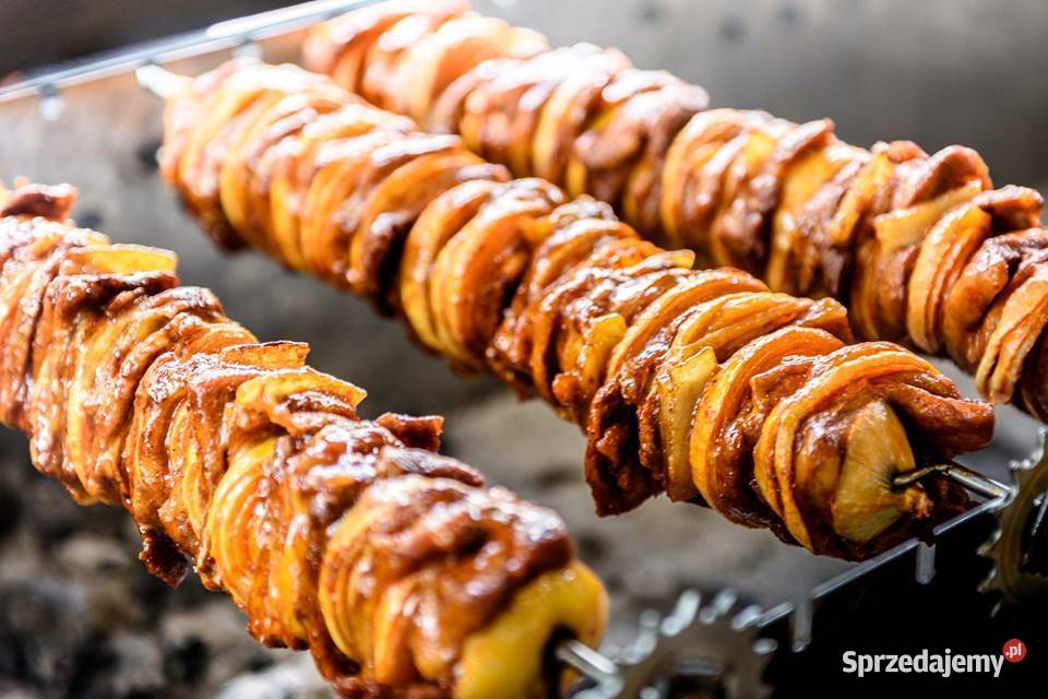 Grill węglowy z napędem 2 poziomy obrotowe i Warszawa