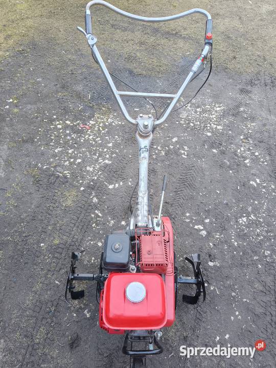 Glebogryzarka spalinowa Honda Dąbrowa Biskupia sprzedam