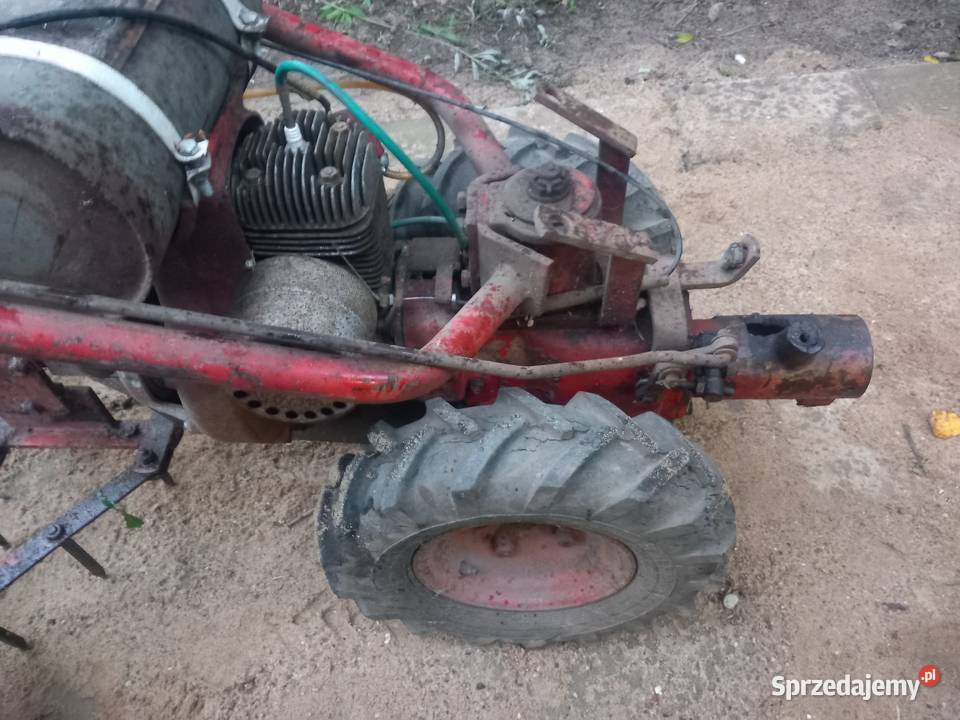 Sprzedam Traktor dzik TF 70 Ursus Morąg