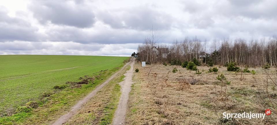 Działka w Strzepczu jeziora Strzepcz