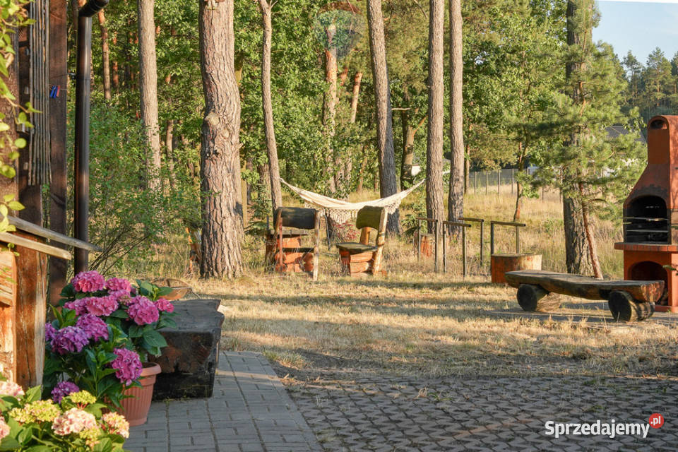 Działka leśna z domkiem na sprzedaż 7000zł/m2 Rozniszew