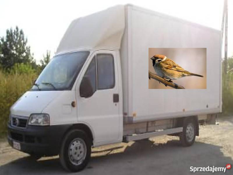 t888856333 Tania firma przeprowadzkowa bagażówka