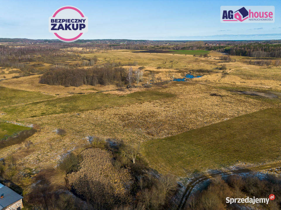 sprzedaży gruntu Mierzyno 16625m2 sprzedam