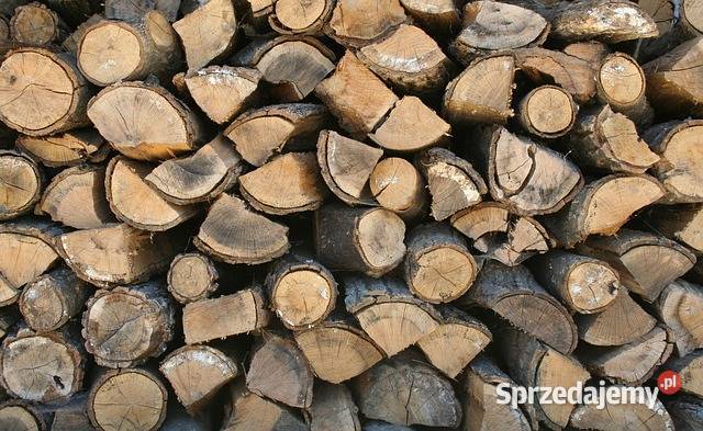 Drewno kominkowe liściaste 260 kubik Pszczyna