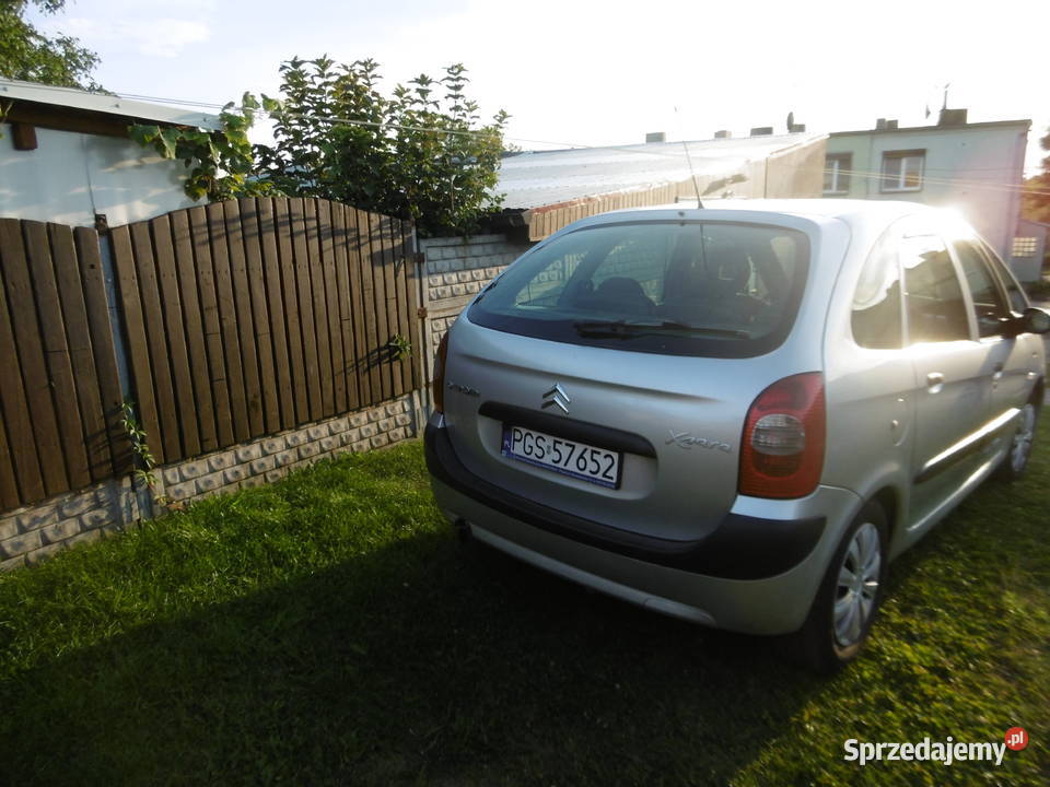 Citroen Xsara Piacasso Brzezie sprzedam
