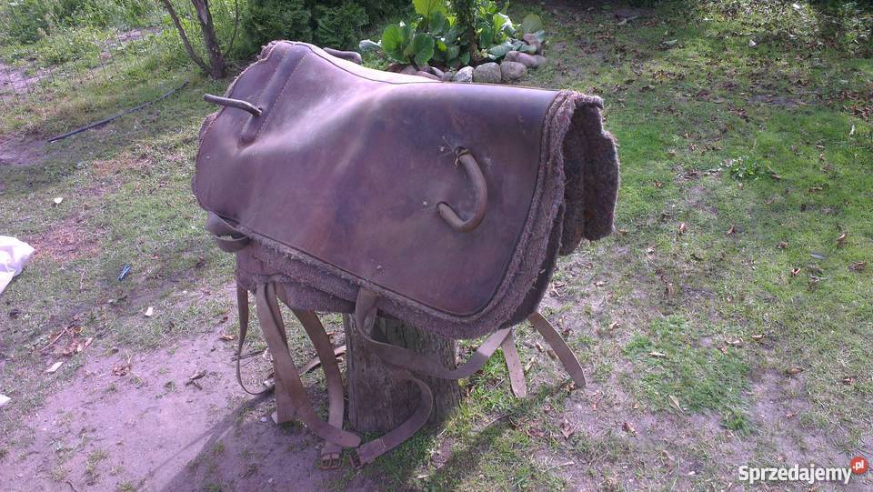 Siodła do woltyżerki sprzedam Akcesoria dla zwierząt Mrocza