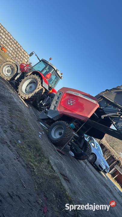 Massey Ferguson 1460 V RB Massey Ferguson Rolujące (belujące) Sternalice sprzedam