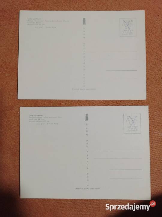 Berg Bohdan gady chronione pocztówki Kraków