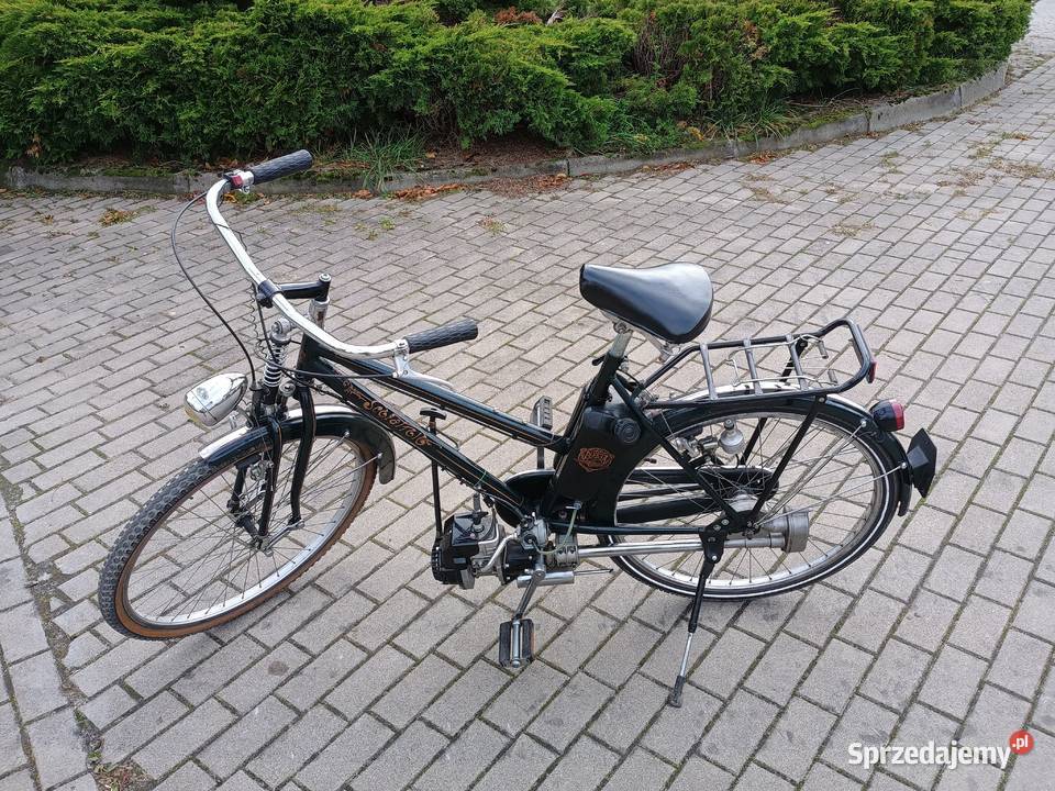 Bicicletta Pizeta Scoiattolo rower z silnikiem