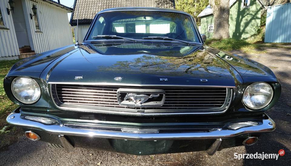 Ford Mustang 1966 fastback 289 22 47L cudo