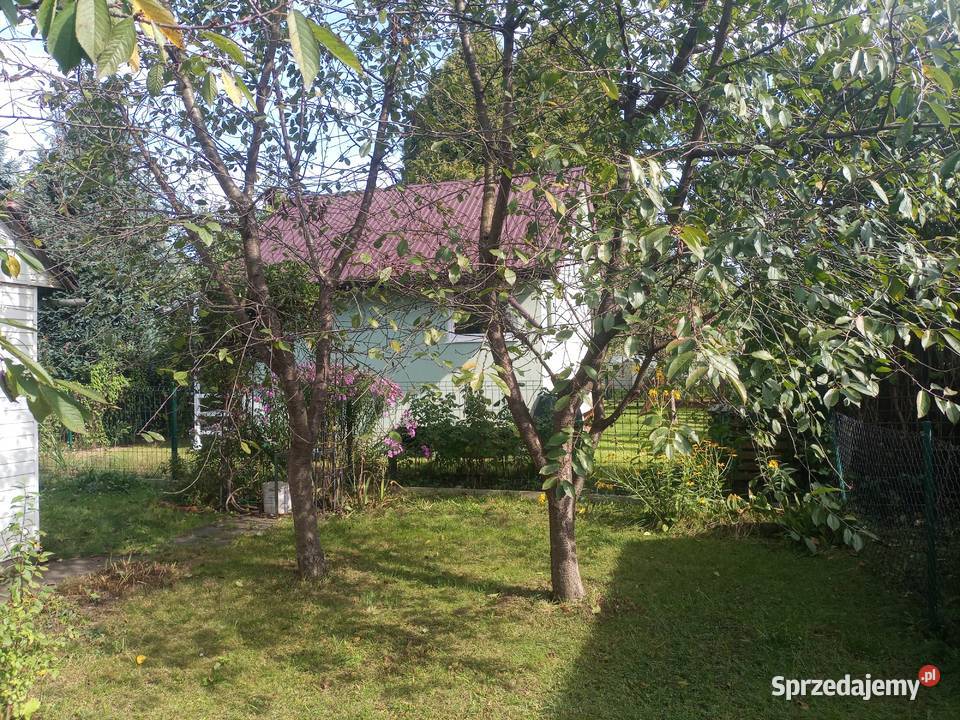 Sprzedam działkę ROD Zakole Wisły 157zł/m2 małopolskie Kraków