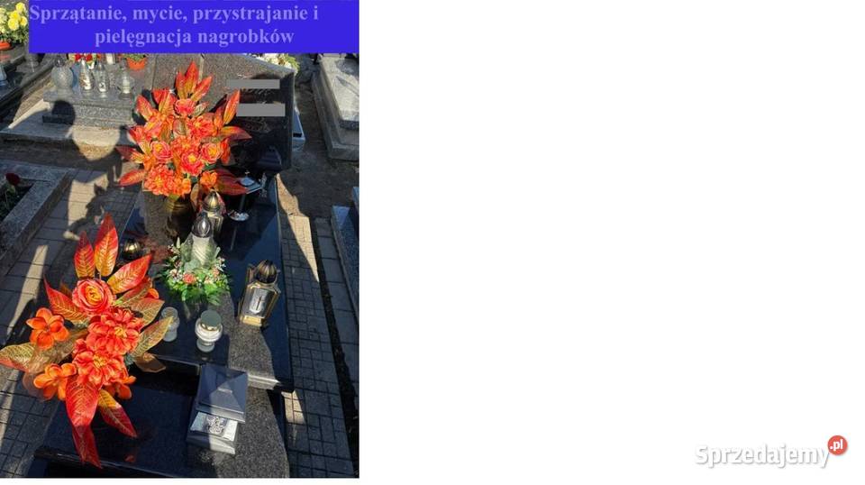 Sprzątanie mycie przystrajanie i pielęgnacja Czerwionka-Leszczyny