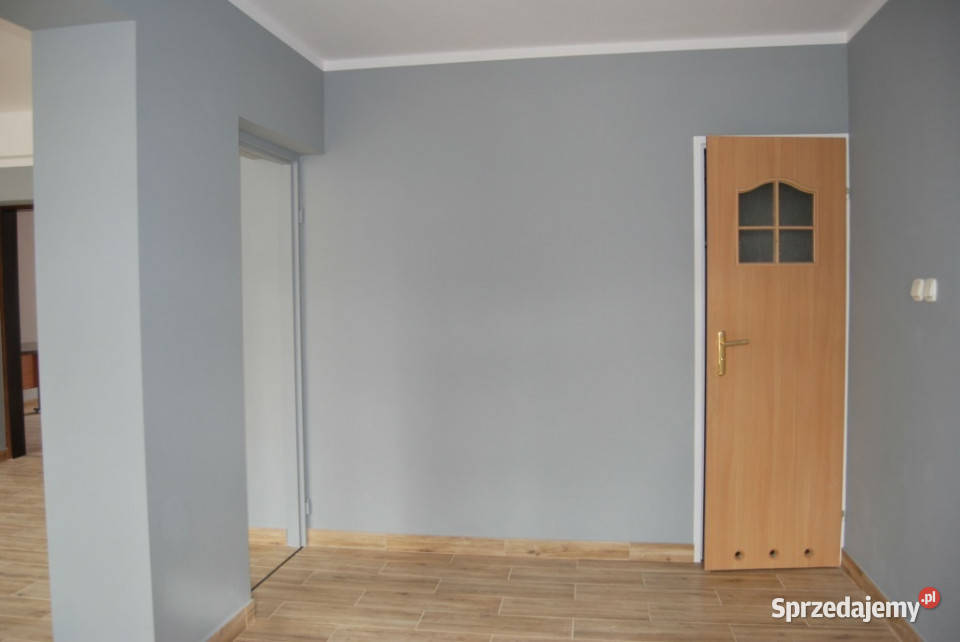 Lokal Wynajem Opole Zaodrze parter 60 m2 Wynajem sprzedam