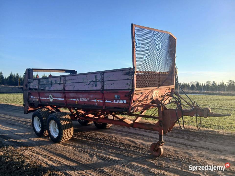 Rozrzutnik JF AV 6000H Tandem 7 ton Starogard Gdański