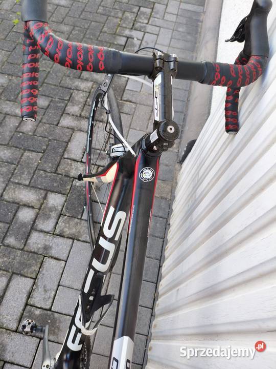 focus cayo carbon Di2