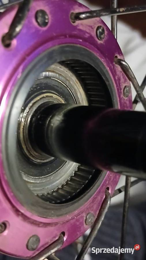 Piasta alaudark różowa Zamość