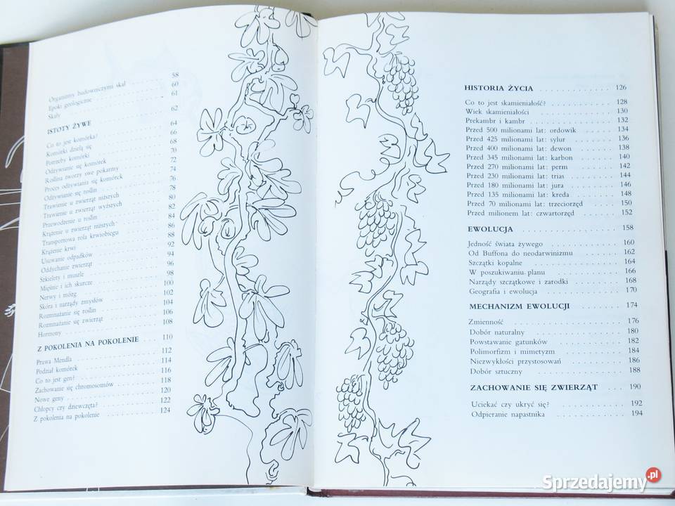 Larousse Ziemia Rośliny Zwierzęta Kraków