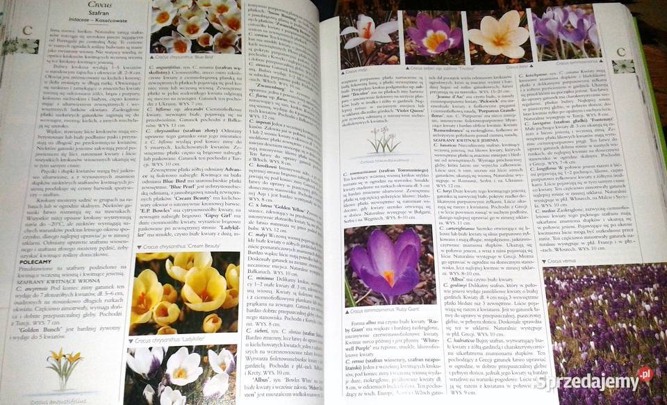 Wielka ilustrowana encyklopedia roślin twarda Pozostałe Chełm sprzedam