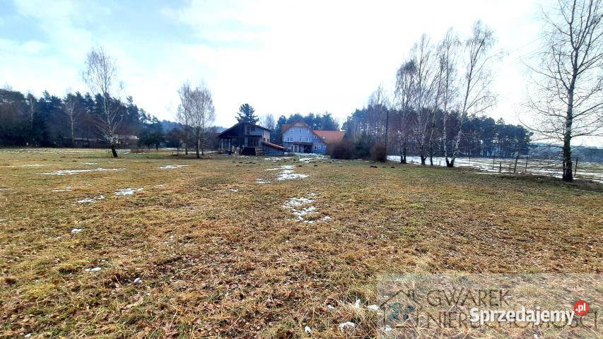 Dom Kochlew 290m2 Sprzedaż