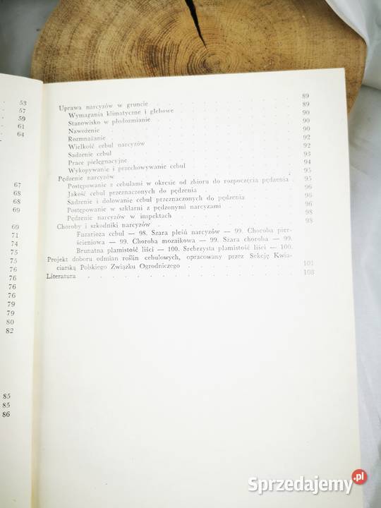 Tulipany hiacynty narcyzy Wiśniowa