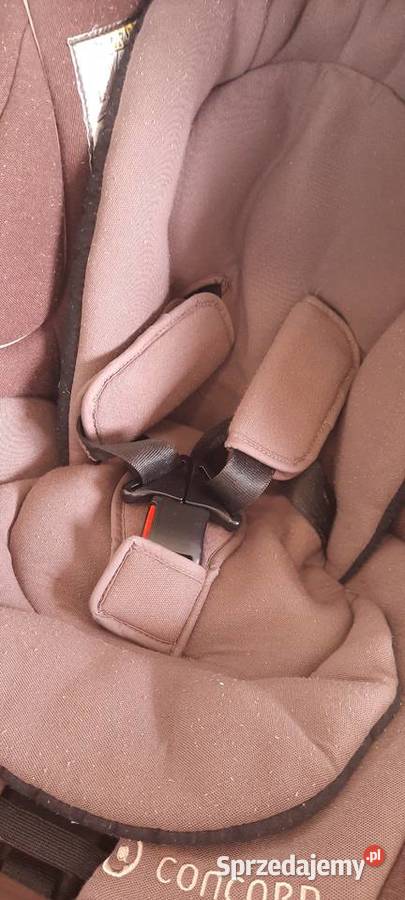 Sprzedam fotelik samochodowy dziecięcy Concord Concord Wrocław