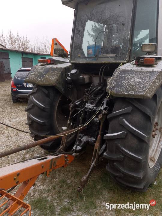 Massey Ferguson 3080 Ferguson łódzkie Zgierz