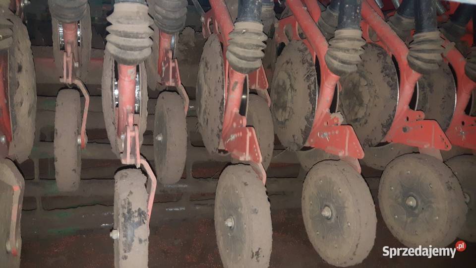 Siewnik talerzowy do zboża maschio gaspardo NINA