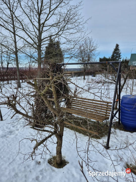 Działka ROD Mickiewicza Sprzedaż Białystok