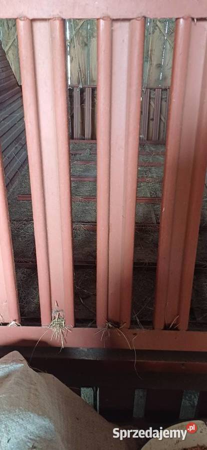 Zbierajaca z Kunowa T055 stan Brańsk sprzedam