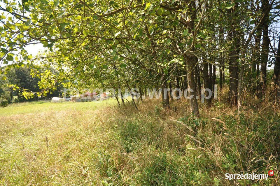 Widokowa działka budowlana na lekkim stoku 0m